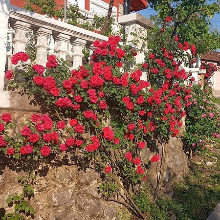 Woodstone Apartman Podgorica Bagian luar foto