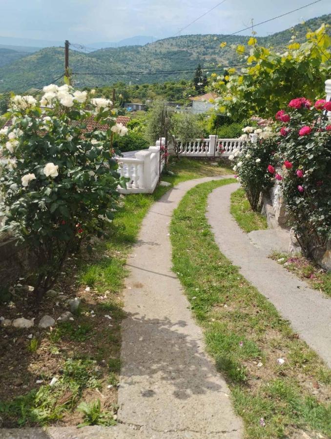 Woodstone Apartman Podgorica Bagian luar foto