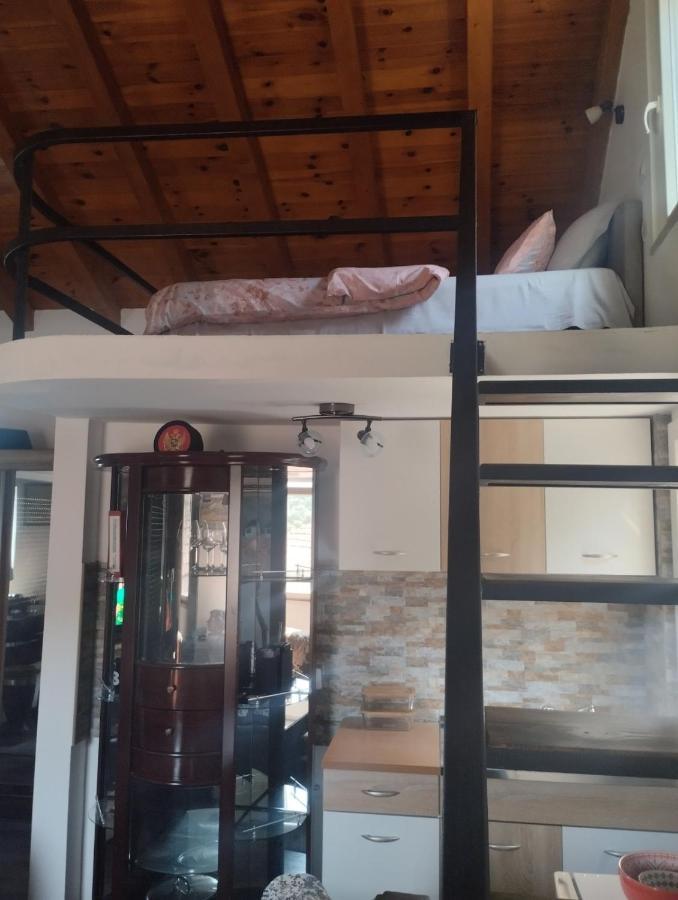 Woodstone Apartman Podgorica Bagian luar foto